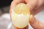 树脂做的假鸡蛋您敢吃吗