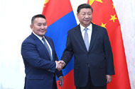 習近平會見蒙古國總統巴特圖勒嘎