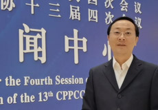 ����˵���᣺���������������