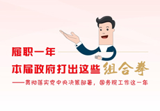 动漫解读｜履职一年，本届政府打出这些“组合拳”