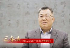 王春法代表：办好展览、做好服务、讲好故事 让“博物馆热”持续升温