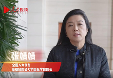 两会·她风采｜张婧婧代表：推动景德镇全域申遗 守护大美瓷韵