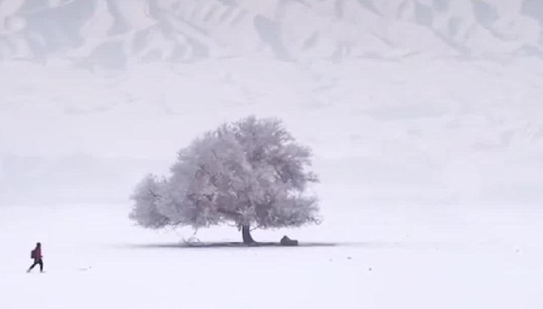 新疆塔城觀音溝冰雪世界裡的粉色天空