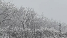 北京的雪下得好認真 網友：這是瑞雪兆豐年