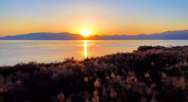 抚仙湖的冬天藏着一片橘子海