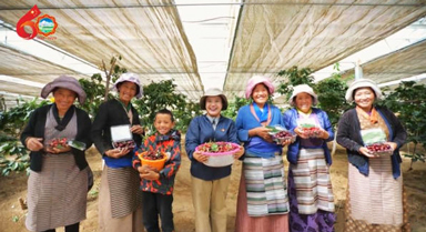 从机关干部，到高原车厘子的“知心人”