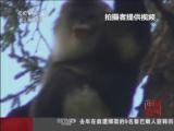 广东:一学校被曝禁<em>女生</em>穿<em>有色</em>内衣 违者会被扣