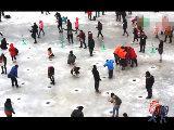 �d�H�B�W���� �ɥV�u�ֽ� �������[
