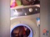 �p���}�Q����Ŧ �ۤv�]�i�F�~���