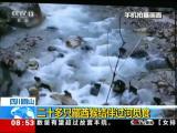 四川眉山：二十多隻藏酋猴結伴過河覓食