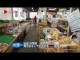 探訪日本人氣農貿市場——南清裡道驛