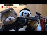 2020“當考拉遇見熊貓” 中澳友好微視頻大賽優秀作品——從悉尼到上海