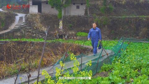 【人民映像】劉開福：鄉村振興的“紫薯”夢