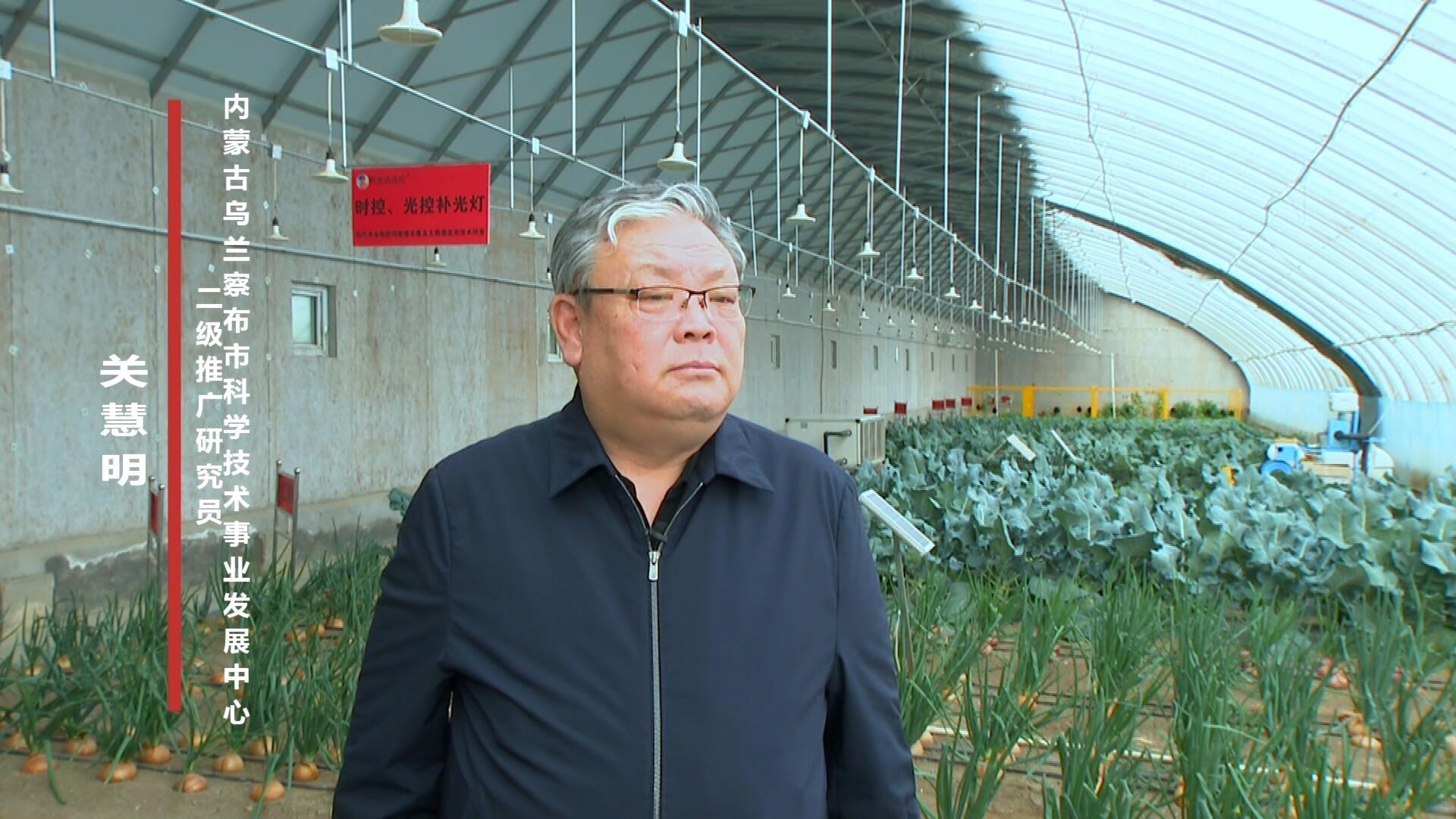 【人民映像】關慧明：帶領農民致富的冷涼蔬菜科技引路人