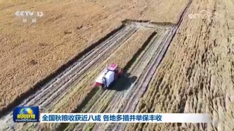 全国秋粮收获近八成 各地多措并举保丰收