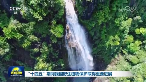 “十四五”期間我國野生植物保護取得重要進展