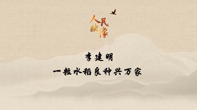 【人民映像】李建明：一粒水稻良种兴万家