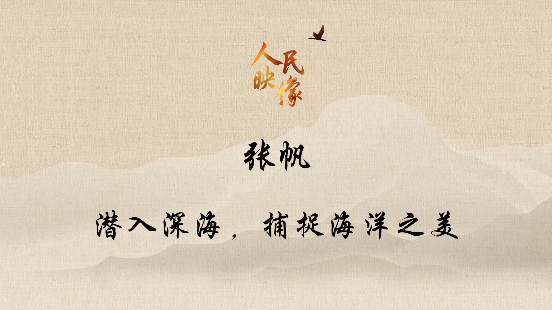 【人民映像】张帆：潜入深海，捕捉海洋之美