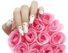 &$<b>ָ���͵�N��������;</b><br><br>����ָ�����ֳ�ָ���ᡣ��Ҫ�ɷ�Ϊ70%-80%�Ļӷ����ܼ���15%��������ά�أ������������ܼ������ԡ��Ѱ׷��Լ��������ϡ�&$