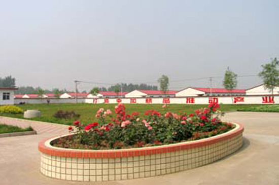 玉田牧富种猪繁育有限公司