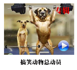 播客周刊:小沈阳上百姓讲坛 最小母亲仅5岁